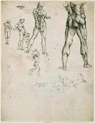 Nudi, für die „Schlacht von Anghiari“ und andere Figurenstudien, ca. 1505